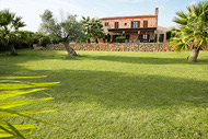 Garten mit gepflegter Rasenfläche, Palmen und Olivenbäumen